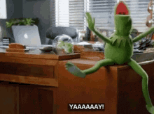 Excited Yay GIF - Excited Yay Kermit GIFs