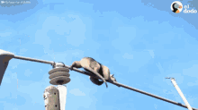 a monkey is hanging from a power line with the words refuge for wildlife behind it