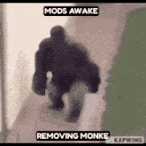 Monke Mods Awake GIF - Monke Mods Awake Gorilla GIFs