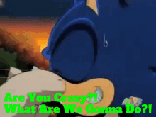 Sonic X Knuckles GIF - Sonic X Knuckles Are You Crazy GIFs