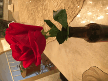 May Your Day Be As Splendid As This Rose GIF - May Your Day Be As Splendid As This Rose GIFs