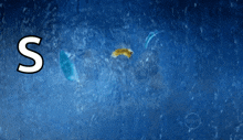 the letter s is written in the water