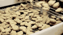 Mcnuggets Forever GIF