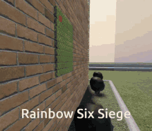 siege rainbow