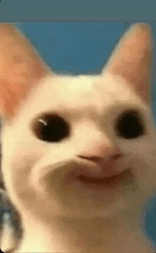 a close up of a cat making a funny face with its mouth open .