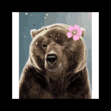 Bearysexy Bearfeltcute GIF - Bearysexy Bearfeltcute GIFs