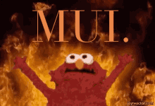 Mui Muimui GIF - Mui Muimui Moongarden GIFs