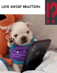 a picture of a puppy looking at a cell phone with the words live gwisp reaction on the bottom