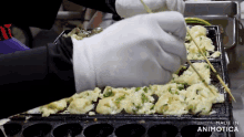 a person is cooking food in a pan with the words made in animotica on the bottom