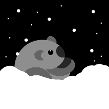 Koala Snow GIF
