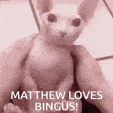 a person is holding a cat that says matthew loves bingus on it