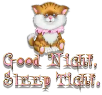 a cartoon cat with the words good night sleep tight behind it