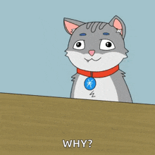 a cartoon cat wearing a red collar is asking why