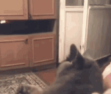 GIF