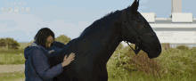 Pet Horse Jan Vokes GIF