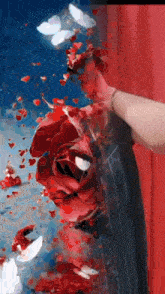 a person 's hand is reaching for a red rose on a red curtain .