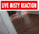 Live Misty Reaction Cat GIF - Live Misty Reaction Misty Cat GIFs