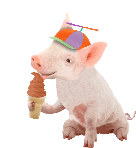 Pig Piggie Sticker - Pig Piggie Ice Cream Stickers
