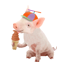 Pig Piggie Sticker - Pig Piggie Ice Cream Stickers
