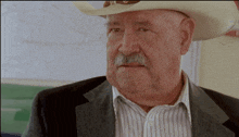 a man wearing a cowboy hat and striped shirt