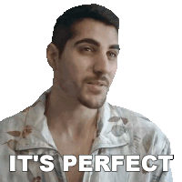It'S Perfect Rudy Ayoub Sticker - It'S Perfect Rudy Ayoub It'S Great Stickers