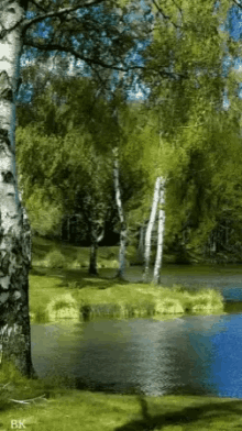 Water Trees GIF - Water Trees Lake GIFs