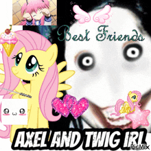 a picture of a pony with the words best friends on it