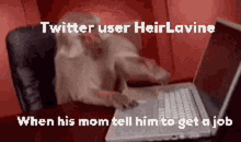 Twitteruser Heirlavine GIF - Twitteruser Twitter Heirlavine GIFs
