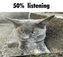 50percent Listening GIF