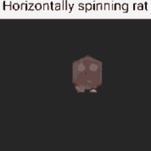Rat Spinning GIF - Rat Spinning Horizontally GIFs