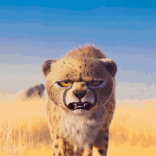 Anger Cheetah GIF