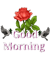 a red rose with green leaves is surrounded by the words good morning