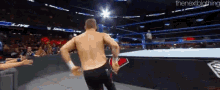 a shirtless wrestler in a wrestling ring with the nextblagthing written in the corner
