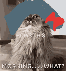 Hows This Morning GIF - Hows This Morning What GIFs