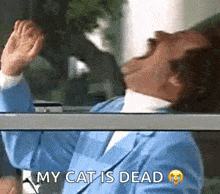 a man in a blue suit is sitting in front of a window with his hands up and says `` my cat is dead '' .