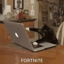 Cat Playing GIF - Cat Playing Fornite GIFs