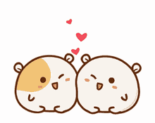 cuddle cute hamster sweet love