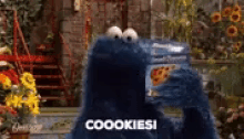 cookie cookies