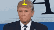 Trump Pee GIF - Trump Pee GIFs