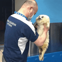a man wearing a shirt that says osaka aquarium on it is holding a seal