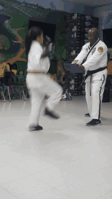 Taekwondo Blueboard GIF