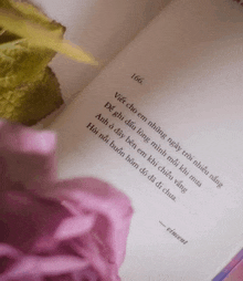 a book is open to page 166 with a flower in the background
