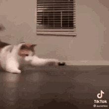 Gatoilse Cat Love GIF - Gatoilse Cat Love Cat GIFs