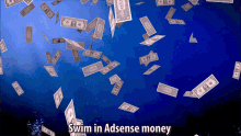 Swim In Adsense Money Rucka Rucka Ali GIF