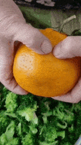 a person is holding an orange over broccoli