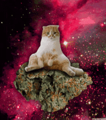 Stoned Baked GIF - Stoned Baked High GIFs
