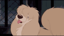 Peg Lady And The Tramp GIF - Peg Lady And The Tramp Dog GIFs
