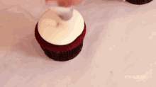 Georgetown Cupcakes Red Velvet Recipe GIF - Georgetowncupcakes Redvelvet Cupcakes GIFs