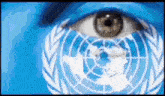 a close up of a person 's eye with a united nations flag painted on it
