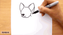 a person is drawing a chihuahua on a piece of paper with a marker ..
